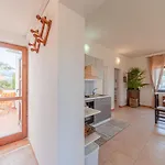 Tramontana بيت للعطل