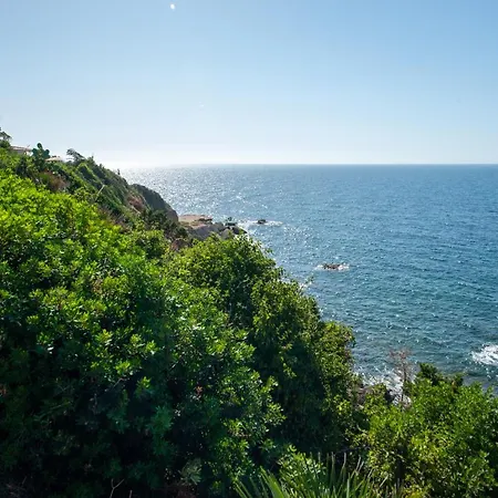 Tramontana *